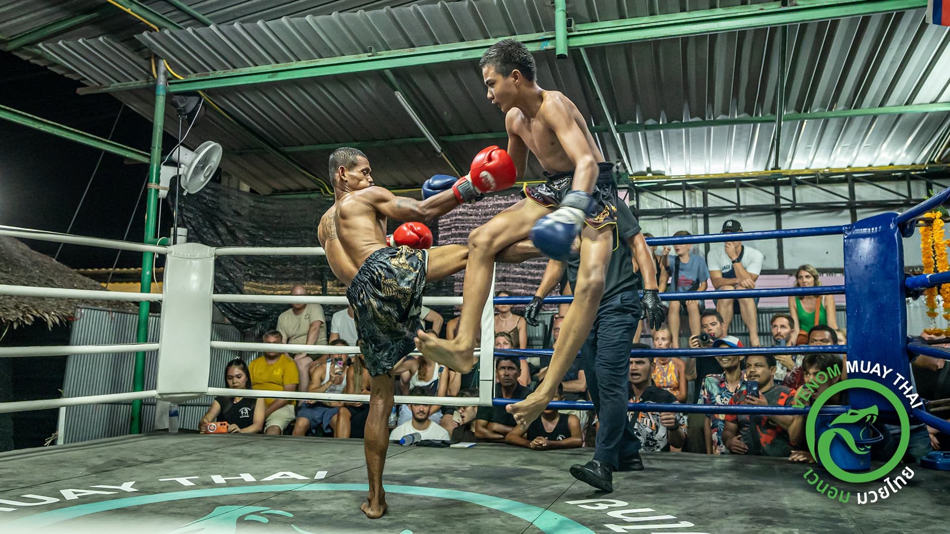 28 January 2026, Venom Muay Thai Gym